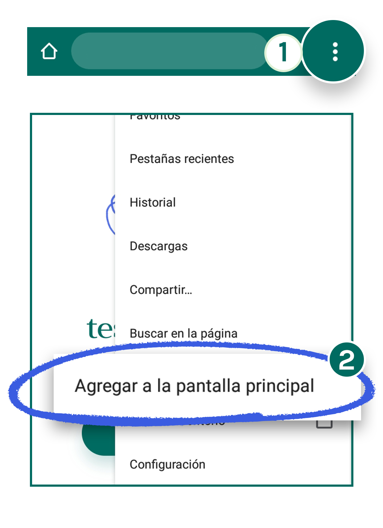 Instrucciones para añadir Diagnostikare a tu pantalla de inicio.